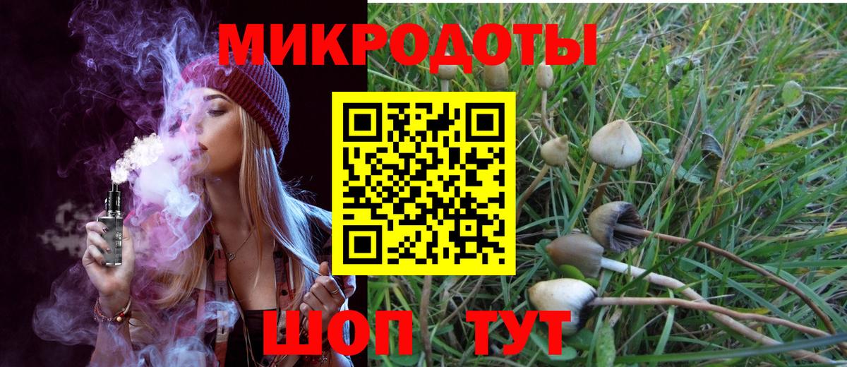 Галлюциногенные грибы Magic Shrooms  Вход с VPN  Екатеринбург  Псилоцибиновые грибы Psilocybine cubensis 
