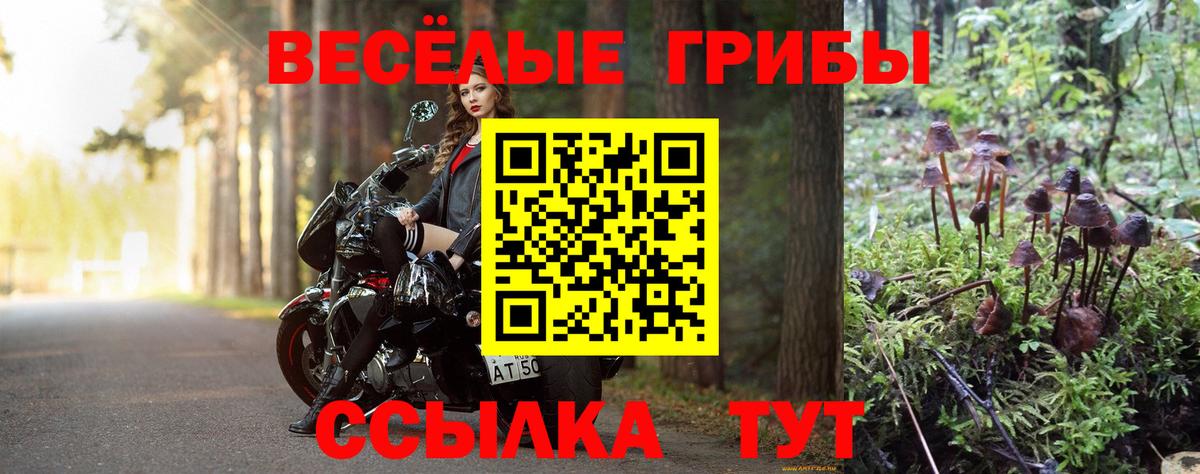 Псилоцибиновые грибы мухоморы Екатеринбург